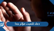 أفضل دعاء للميت مؤثر جدا قصير .. أدعية للمتوفي قصيرة مستجابة مكتوبة