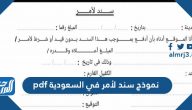 نموذج سند لأمر في السعودية pdf