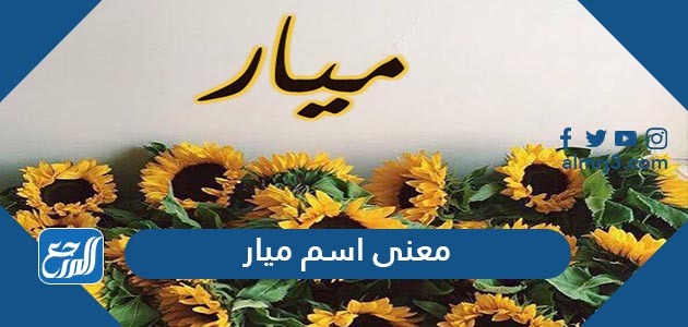 Ù…Ø¹Ù†Ù‰ Ø§Ø³Ù… Ù…ÙŠØ§Ø± Mayar ÙˆØµÙØ§Øª Ø­Ø§Ù…Ù„Ø© Ø§Ù„Ø§Ø³Ù… ÙˆØ´Ø®ØµÙŠØªÙ‡Ø§ Ù…ÙˆÙ‚Ø¹ Ø§Ù„Ù…Ø±Ø¬Ø¹