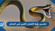 تفسير رؤية الثعبان الكبير في المنام لابن سيرين