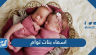 اسماء بنات توأم ومعانيها