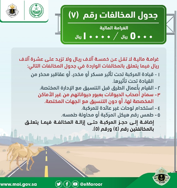 الجدول السابع