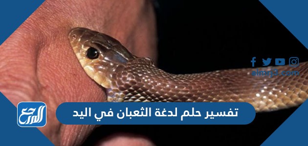 تفسير حلم لدغة الثعبان في اليد