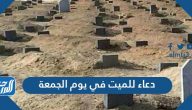 دعاء للميت في يوم الجمعة مستجاب إن شاء الله