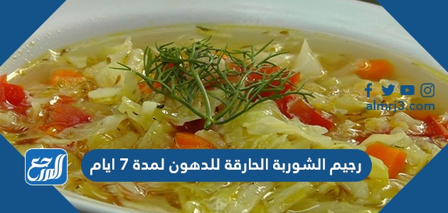 رجيم الشوربةالحارقة للدهون لمدة 7أيام