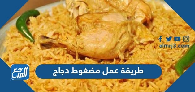 طريقة عمل مضغوط دجاج