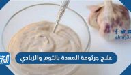 علاج جرثومة المعدة بالثوم والزبادي