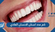 كم عدد اسنان الانسان العادي