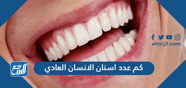 كم عدد اسنان الانسان العادي