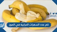 كم عدد السعرات الحرارية في الموز