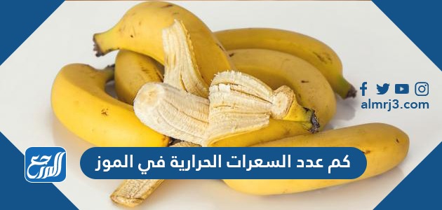 كم عدد السعرات الحرارية في الموز