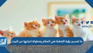 ما تفسير رؤية القطط في المنام ومحاولة اخراجها من البيت لكبار علماء التفسير