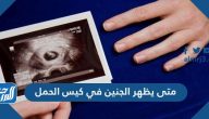 متى يظهر الجنين في كيس الحمل وما أسباب عدم وجوده في بعض الأحيان متى يظهر الجنين في كيس الحمل وما أسباب عدم وجوده في بعض الأحيان