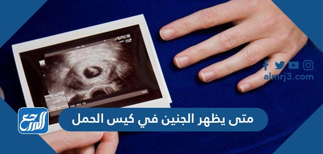 متى يظهر الجنين في كيس الحمل في اي اسبوع