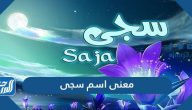 معنى اسم سجى Saja وصفات حاملة الاسم ومعناه في القران وعلم النفس