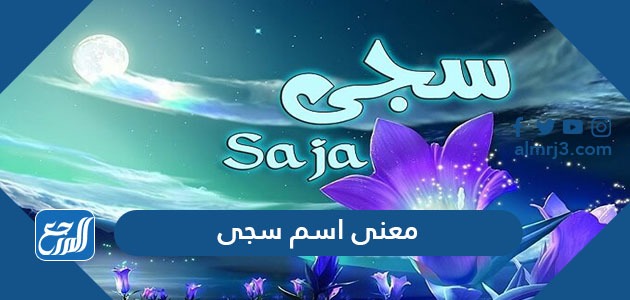 معنى اسم سجى