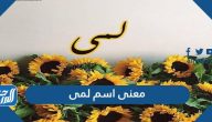 معنى اسم لمى Lama وصفات حاملة الاسم وحكم تسميته في الاسلام