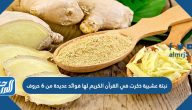 نبتة عشبية ذكرت في القرآن الكريم لها فوائد عديدة من 6 حروف
