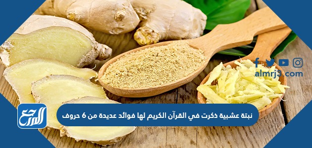 نبتة عشبية ذكرت في القرآن الكريم لها فوائد عديدة من 6 حروف