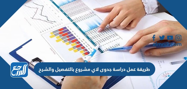 طريقة عمل دراسة جدوى لاي مشروع بالتفصيل والشرح موقع المرجع
