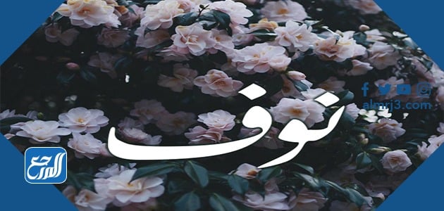 معنى اسم نوف