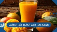 طريقة عمل عصير المانجو مثل المحلات بـ 5 وصفات مختلفة