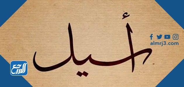 معنى اسم اسيل
