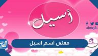 معنى اسم أسيل وطريقة كتابته بكافة لغات العالم الغريبة