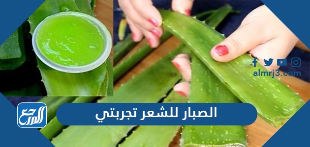 الصبار للشعر تجربتي