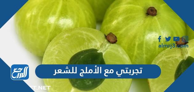 تجربتي مع الأملج للشعر برهنت على فعاليته في حل جميع مشاكل الشعر تجربتي مع الأملج للشعر برهنت على فعاليته في حل جميع مشاكل الشعر