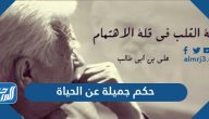 حكم جميلة عن الحياة