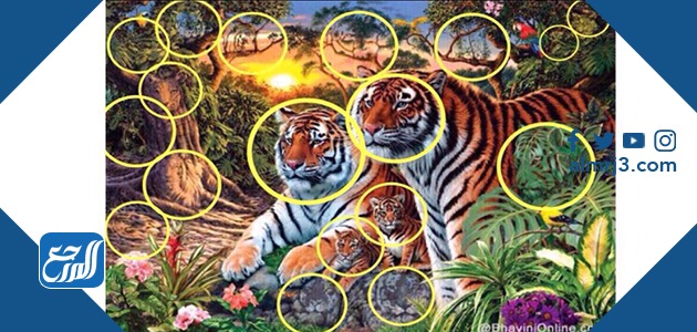 حل لغز كم نمر بالصوره
