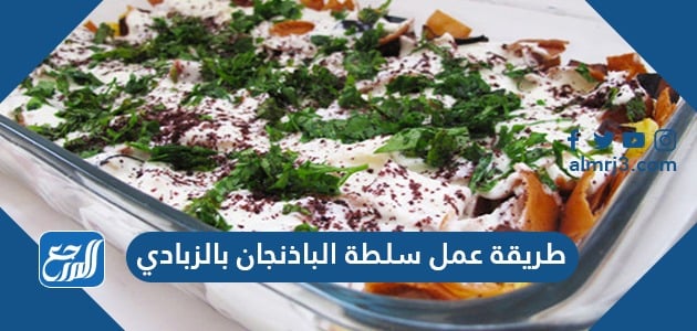 طريقة عمل سلطة الباذنجان بالزبادي