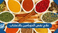 علاج نقص الدوبامين بالاعشاب