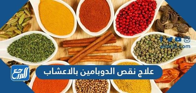 علاج نقص الدوبامين بالاعشاب