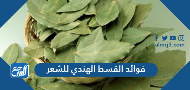 فوائد القسط الهندي للشعر