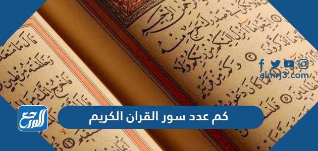 كم عدد سور القران