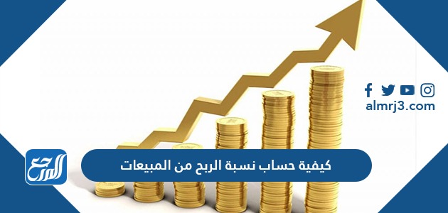 كيفية حساب نسبة الربح من المبيعات