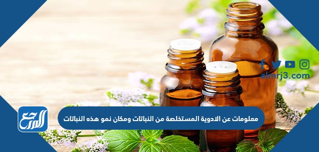 معلومات عن الادوية المستخلصة من النباتات ومكان نمو هذه النباتات