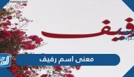 معنى اسم رفيف وشخصيتها وحكم التسمية باسم رفيف