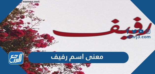 معنى اسم رفيف وشخصيتها وحكم التسمية باسم رفيف
