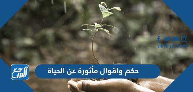 حكم واقوال مأثورة عن الحياة موقع المرجع
