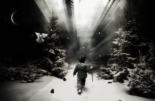 صور خلفيات كمبيوتر بحجم الشاشة