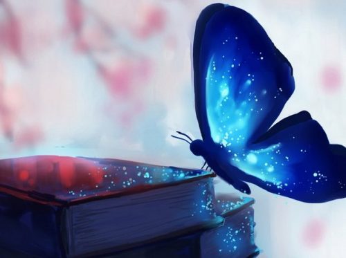 صور خلفيات كمبيوتر تمبلر