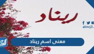 معنى اسم ريناد باللغتين العربية والإنجليزية وحكم التسمية به