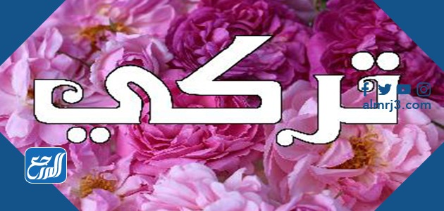 معنى اسم تركي