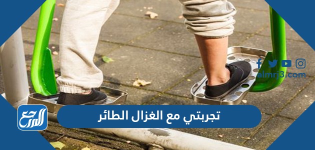 تجربتي مع الغزال الطائر