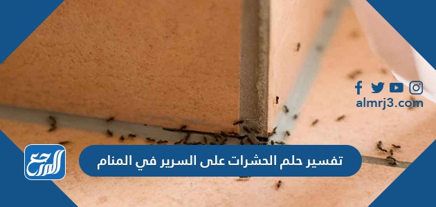 تفسير حلم الحشرات على السرير في المنام