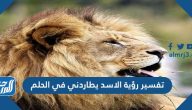 تفسير رؤية الأسد يطاردني في الحلم لابن سيرين وابن شاهين والنابلسي والإمام الصادق