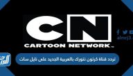 تردد قناة كرتون نتورك بالعربية الجديد على النايل سات